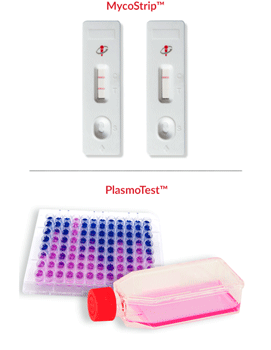 Mycoplasma Detection Elimination Tamar Laboratory Supplies LTD